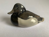 Royal Copenhagen Tufted Duck