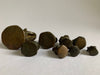 Set of 8 Burmese Antique Bronze Opium Weights - Brahmani Duck - 18th Century.