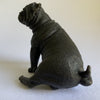 Bronze Pug Sitting