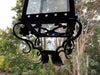 Vintage Wrought Iron Lantern Pendant Lighting