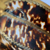 Antique French Tortoiseshell Sewing Etui c.1800’s