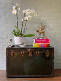 Steamer Trunk