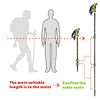 Trekking Poles