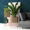 Custom Made Indoor Plant Stands