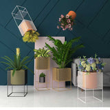 Custom Made Indoor Plant Stands