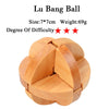 IQ Brain Teaser 3D Wooden Interlocking Burr Puzzles