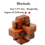 IQ Brain Teaser 3D Wooden Interlocking Burr Puzzles