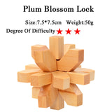 IQ Brain Teaser 3D Wooden Interlocking Burr Puzzles