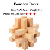 IQ Brain Teaser 3D Wooden Interlocking Burr Puzzles