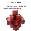 IQ Brain Teaser 3D Wooden Interlocking Burr Puzzles