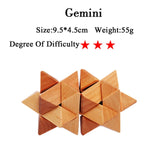 IQ Brain Teaser 3D Wooden Interlocking Burr Puzzles