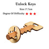 IQ Brain Teaser 3D Wooden Interlocking Burr Puzzles