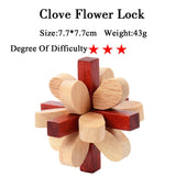 IQ Brain Teaser 3D Wooden Interlocking Burr Puzzles