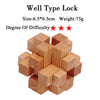 IQ Brain Teaser 3D Wooden Interlocking Burr Puzzles