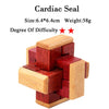 IQ Brain Teaser 3D Wooden Interlocking Burr Puzzles