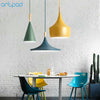 Modern Nordic Pendant Light