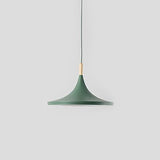 Modern Nordic Pendant Light