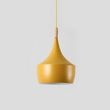 Modern Nordic Pendant Light