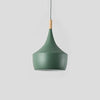 Modern Nordic Pendant Light