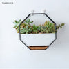 The Wall Ceramic Hanging Planter