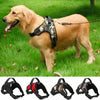 Heavy Duty Dog Harness Collar