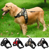 Heavy Duty Dog Harness Collar