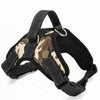 Heavy Duty Dog Harness Collar