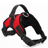 Heavy Duty Dog Harness Collar