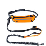 Hands Free Running Dog Leash For Small Medium Dogs