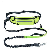 Hands Free Running Dog Leash For Small Medium Dogs